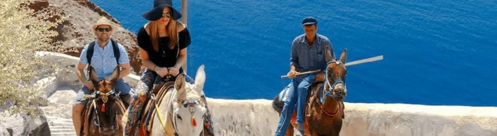 experiences-header-d